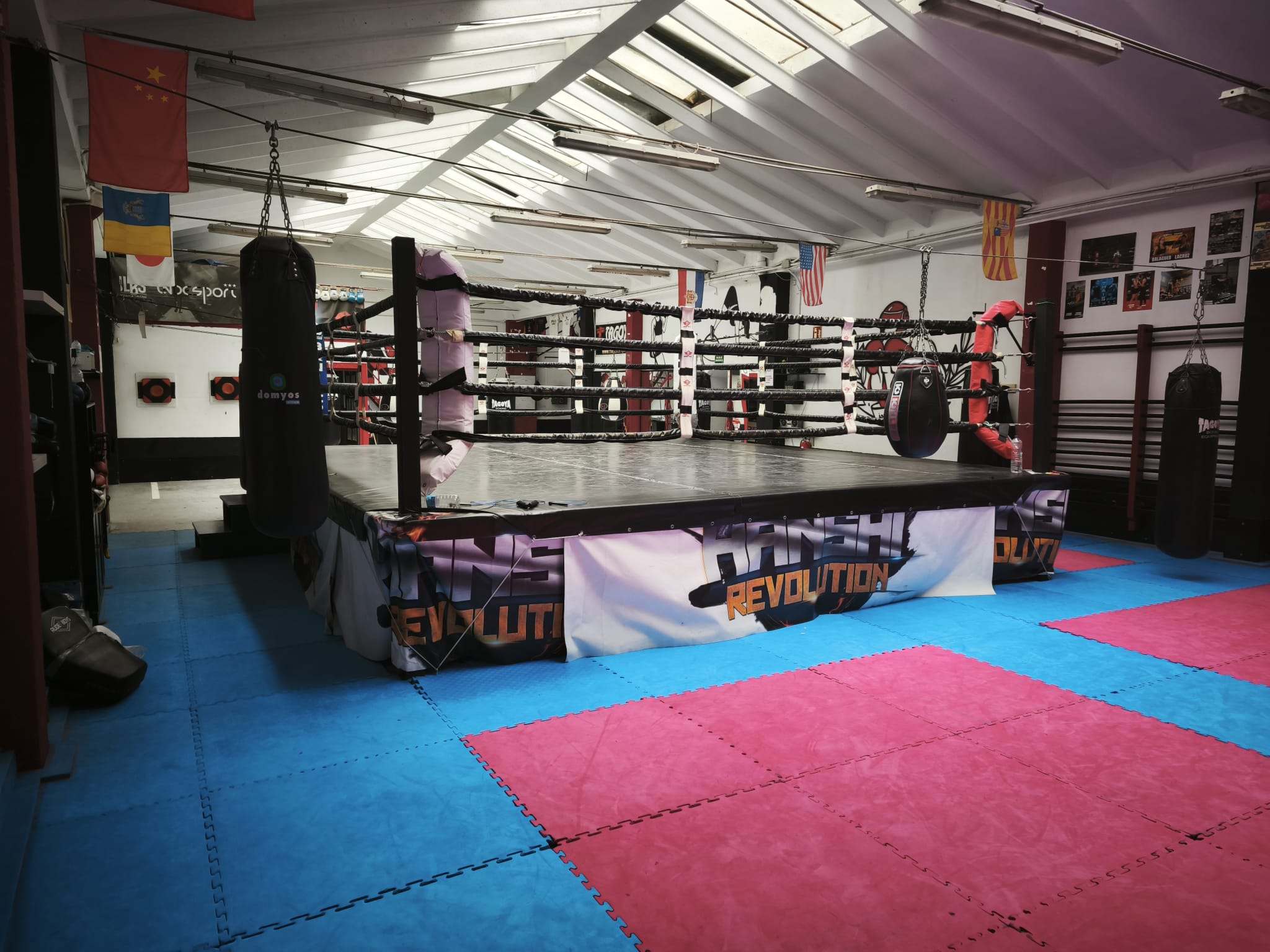 Ring profesional de boxeo